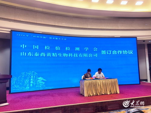 2024年科創(chuàng)中國技術(shù)服務(wù)大會(huì)在泰安成功舉辦，推動(dòng)技術(shù)賦能與產(chǎn)業(yè)升級(jí)