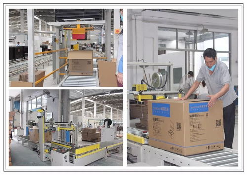 工廠巨變 從百人到十人，浴室柜行業(yè)的生產(chǎn)革命與市場陣痛